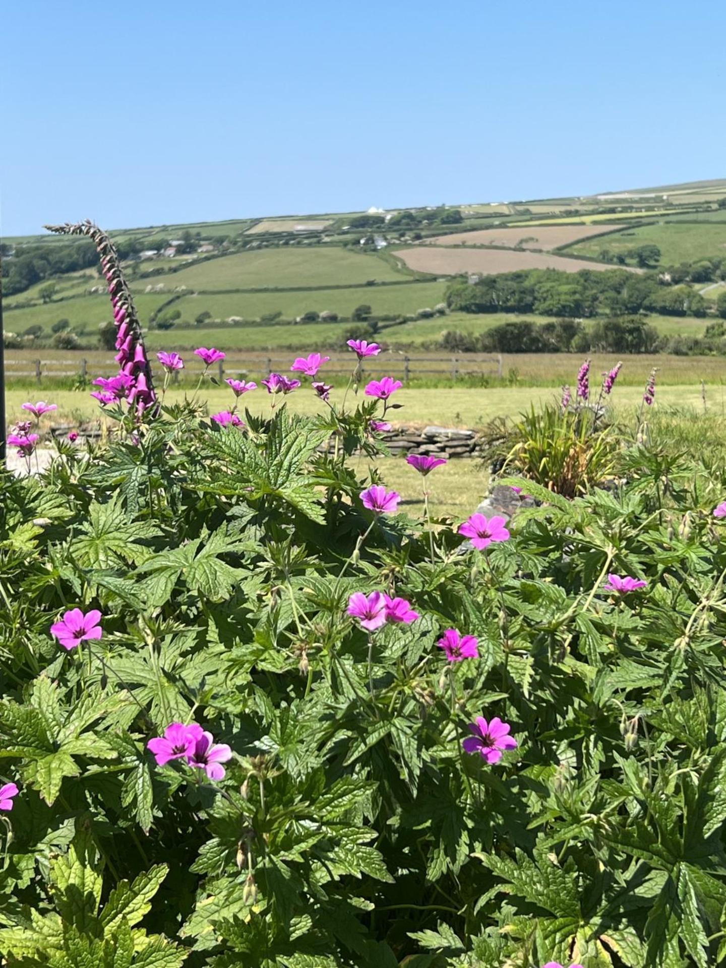 Courtyard Farm Cottages Boscastle Kültér fotó