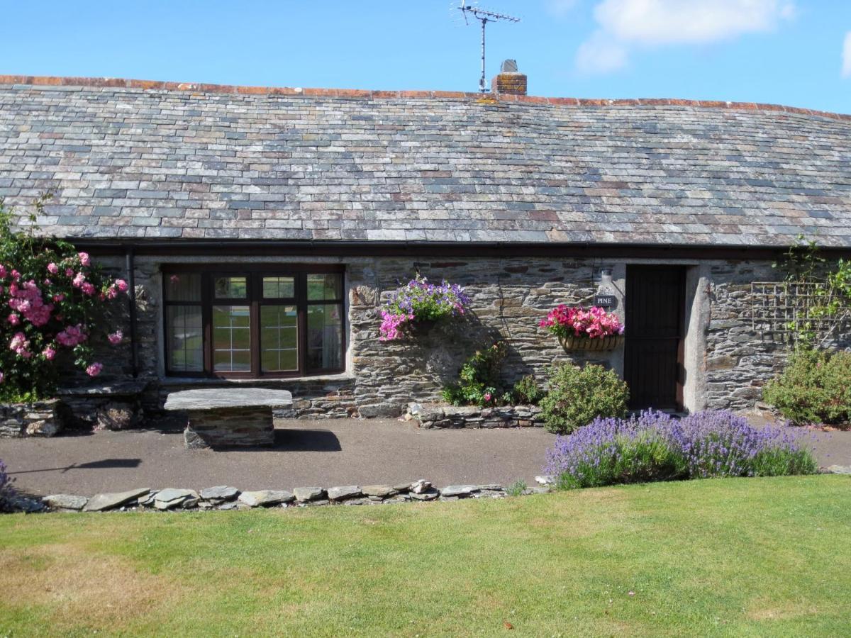 Courtyard Farm Cottages Boscastle Kültér fotó